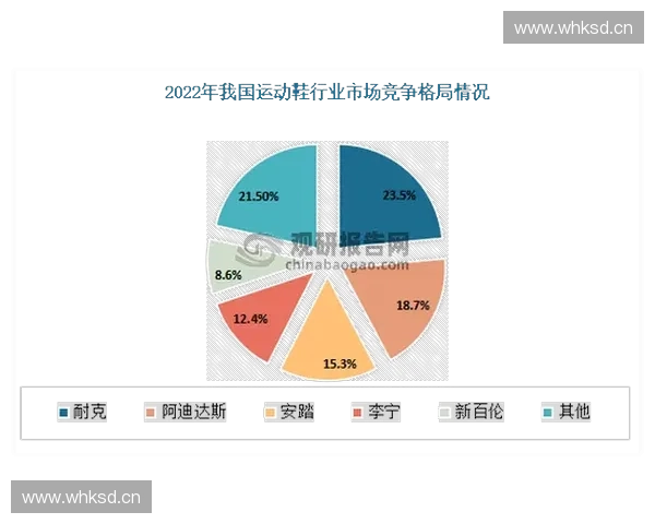 体育品牌竞争力分析与市场趋势研究：全球化视角下的创新与发展路径