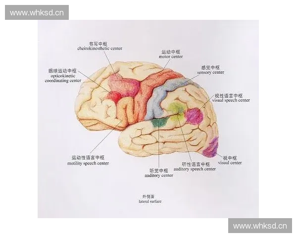 基于运动损伤监控的运动健康风险评估与预防策略研究